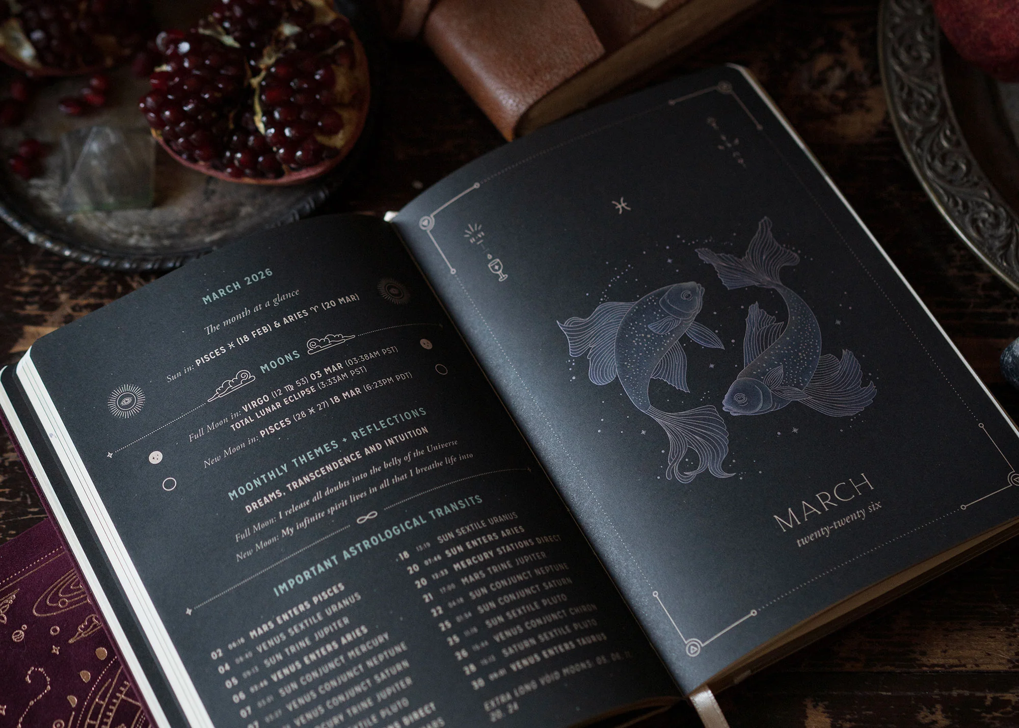 2026 Astrological Planner (Bundle) - Image 8