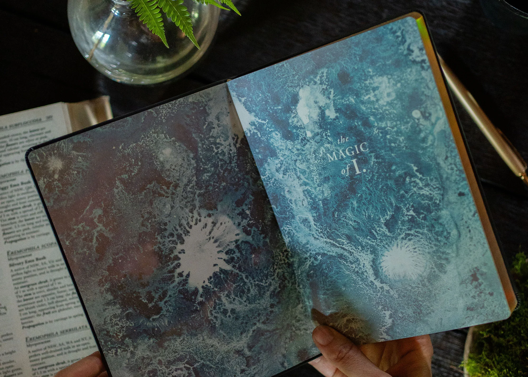A5 ASTRO-MYCOLOGY JOURNAL: EARTHLY DELIGHTS - BLACK - Image 3