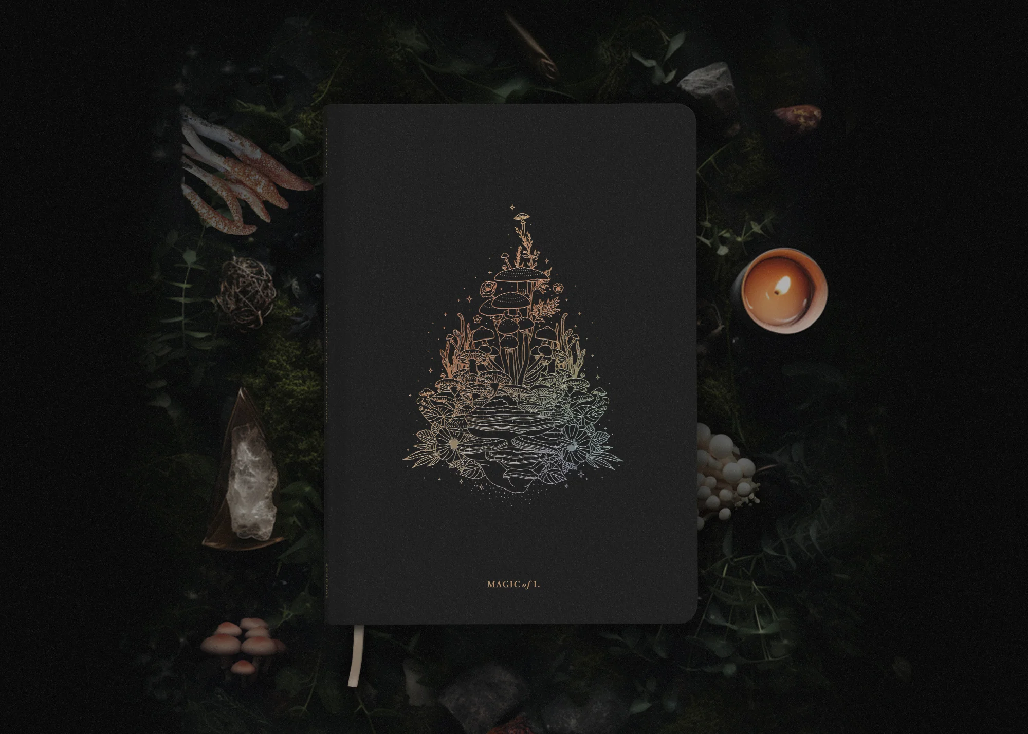 A5 ASTRO-MYCOLOGY JOURNAL: EARTHLY DELIGHTS - BLACK - Image 6