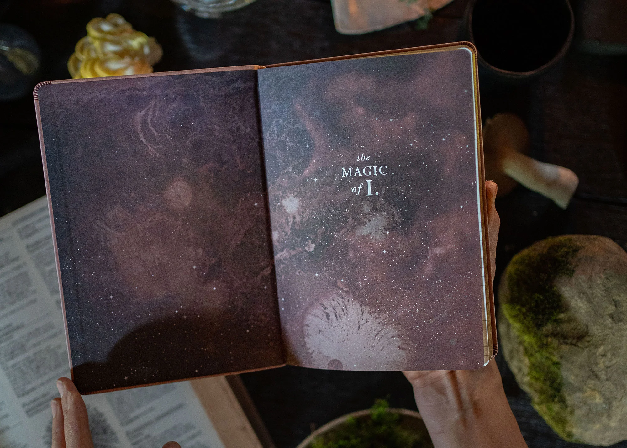 A5 ASTRO-MYCOLOGY JOURNAL: EARTHLY DELIGHTS - MUSHROOM - Image 3