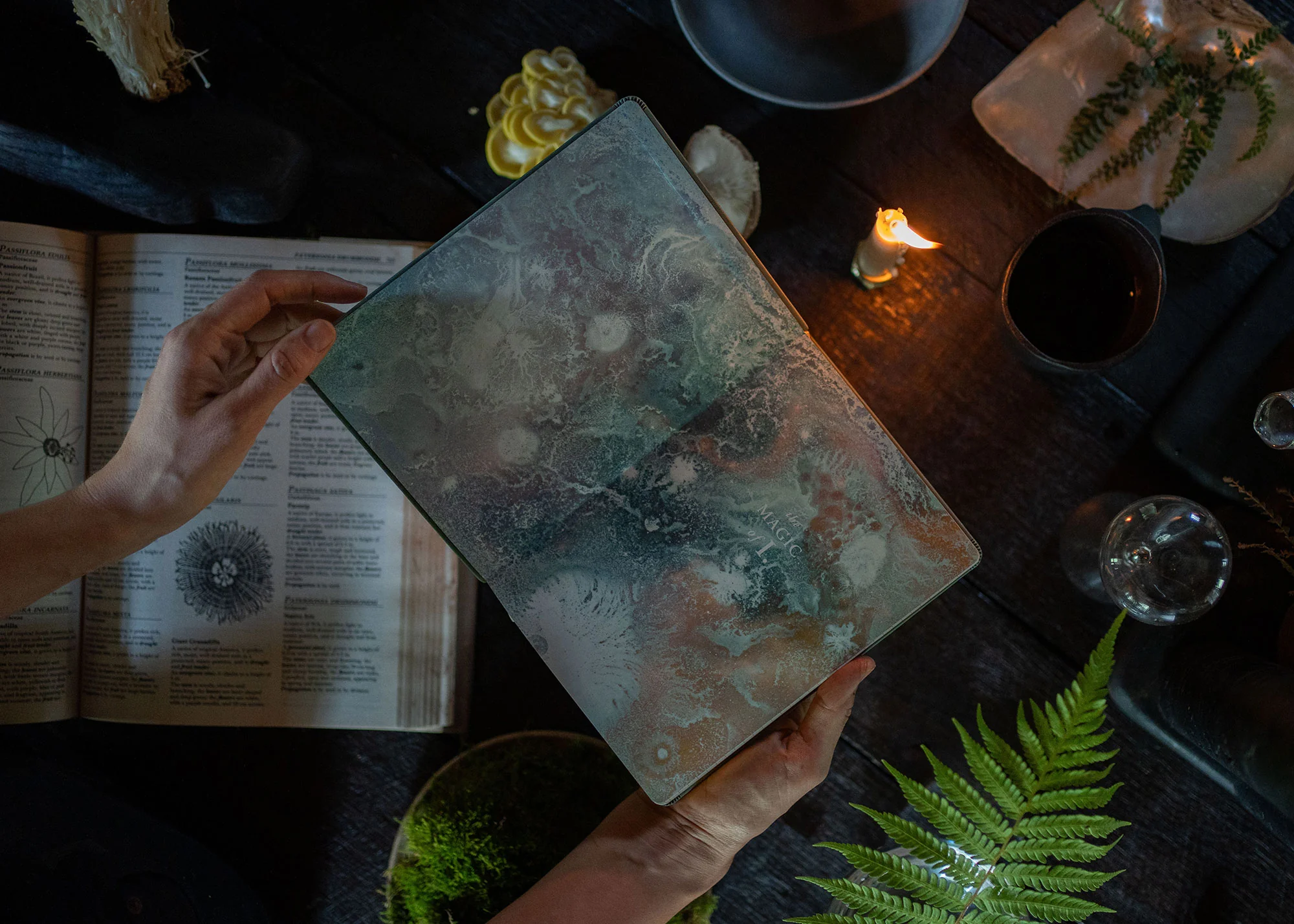 A5 ASTRO-MYCOLOGY JOURNAL: EARTHLY DELIGHTS - SAGE - Image 4