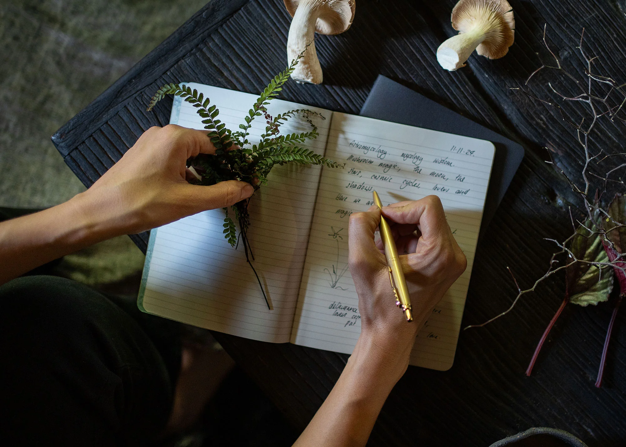 A5 ASTRO-MYCOLOGY NOTEBOOK: EARTHLY DELIGHTS - Image 4