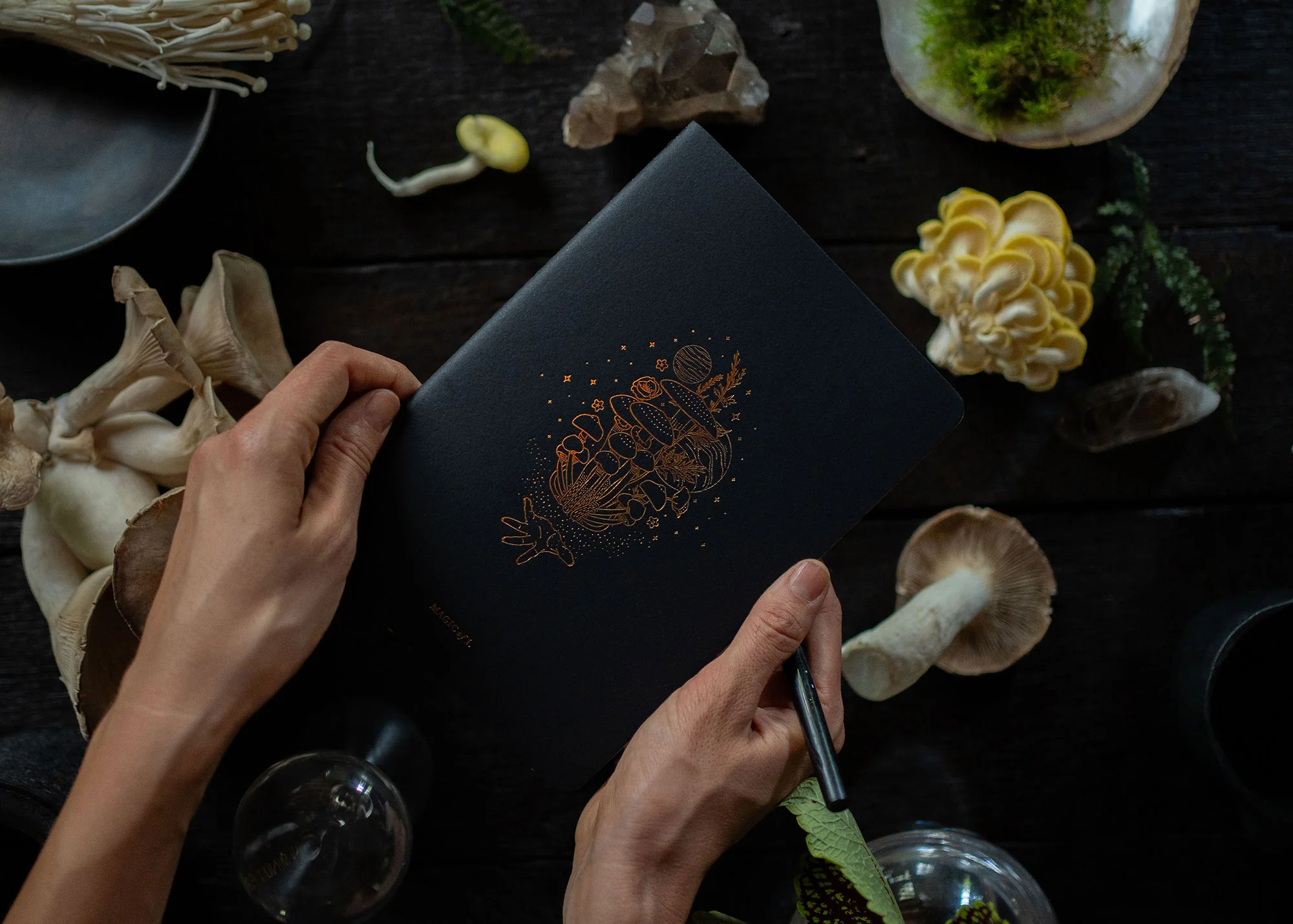 A5 ASTRO-MYCOLOGY NOTEBOOK: PSILOCYBE - Image 3