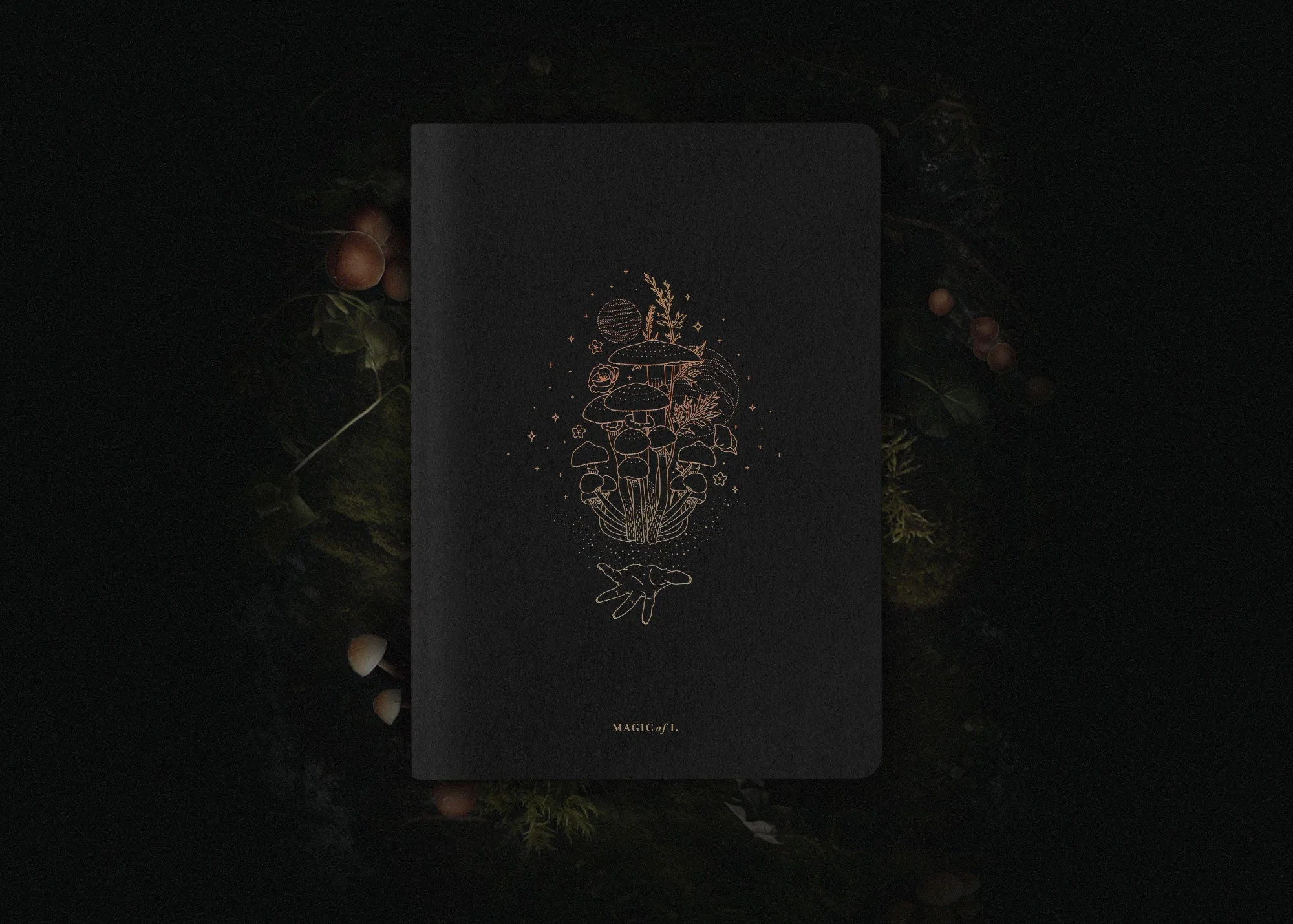A5 ASTRO-MYCOLOGY NOTEBOOK: PSILOCYBE - Image 7