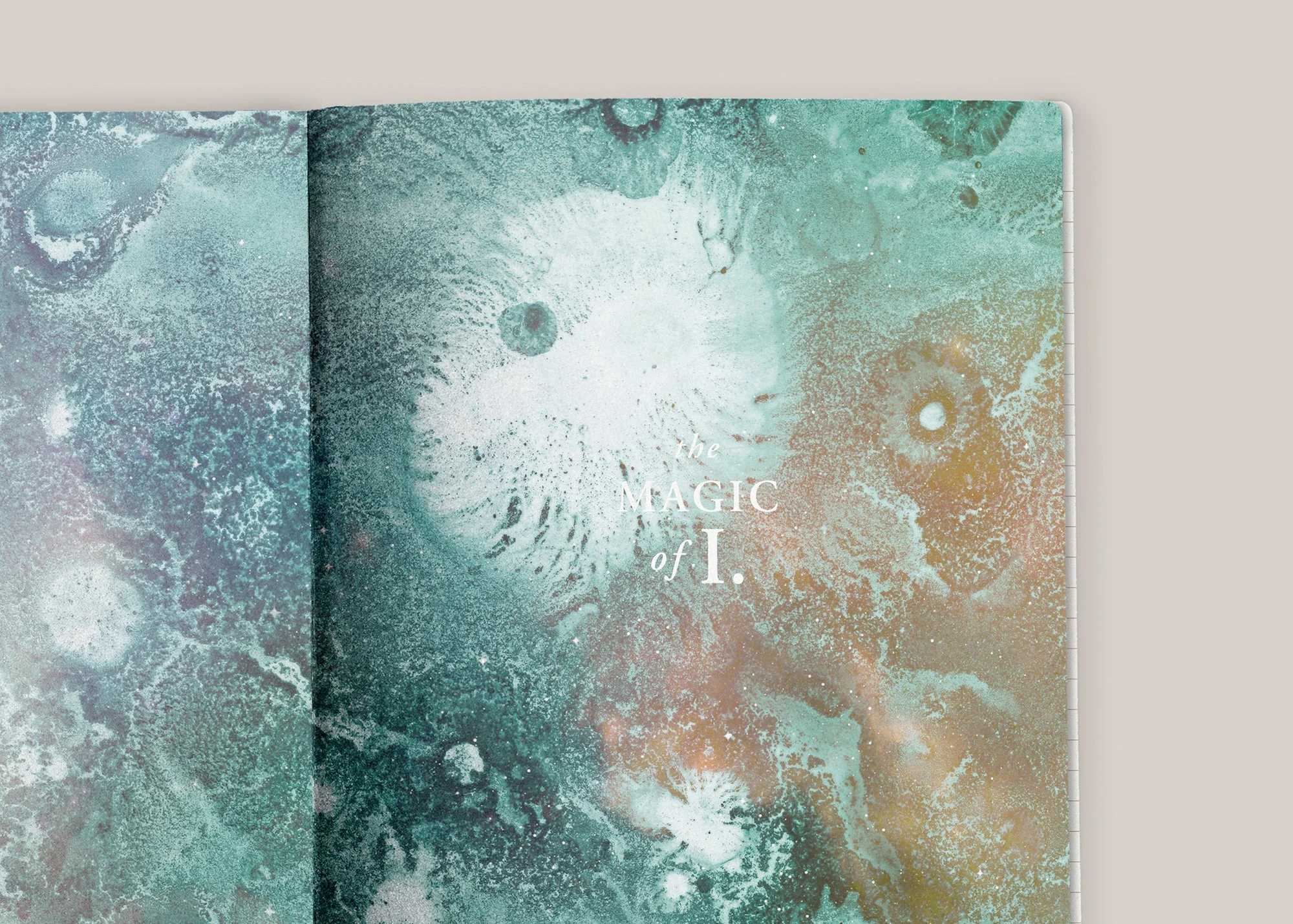 A5 ASTRO-MYCOLOGY NOTEBOOK: PSILOCYBE - Image 8