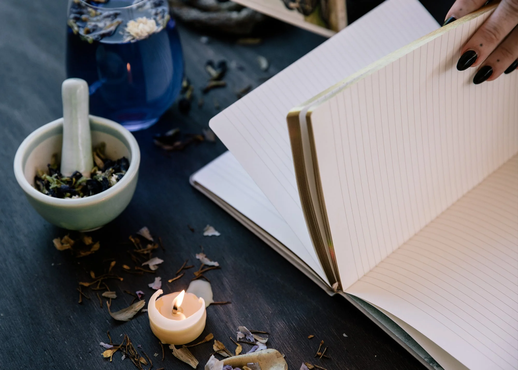 A5 BOTANICALS JOURNAL: EDEN - Image 6