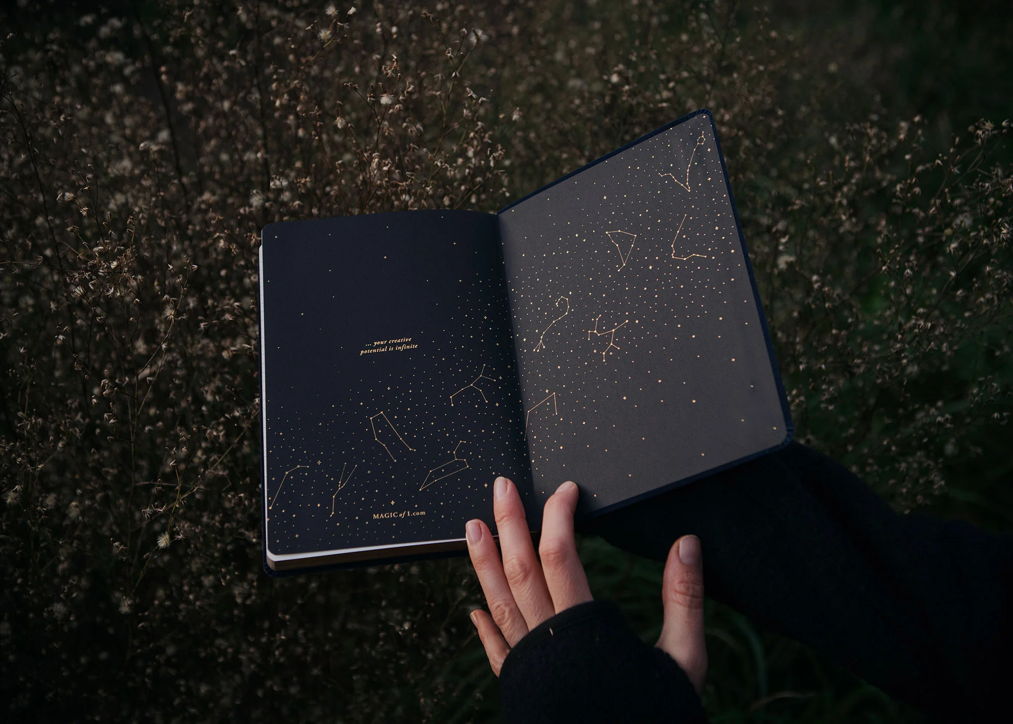 NIGHT SKY - MIDNIGHT SUEDE - LIMITED EDITION - Image 7