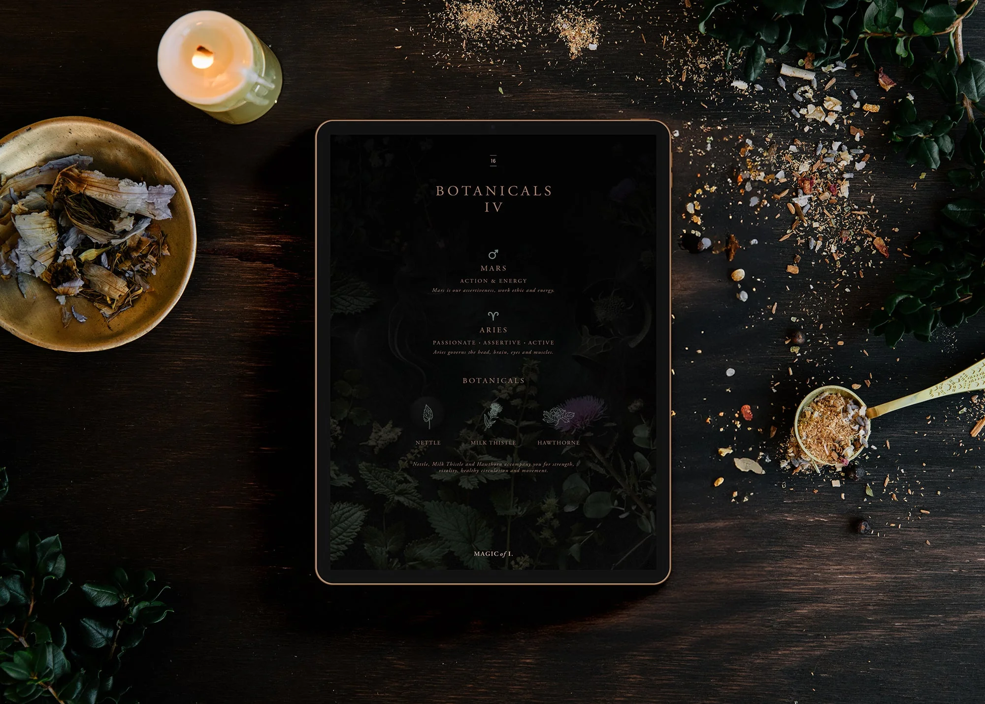 Plants + Planets: A Guide to Astro-herbalism - Image 3