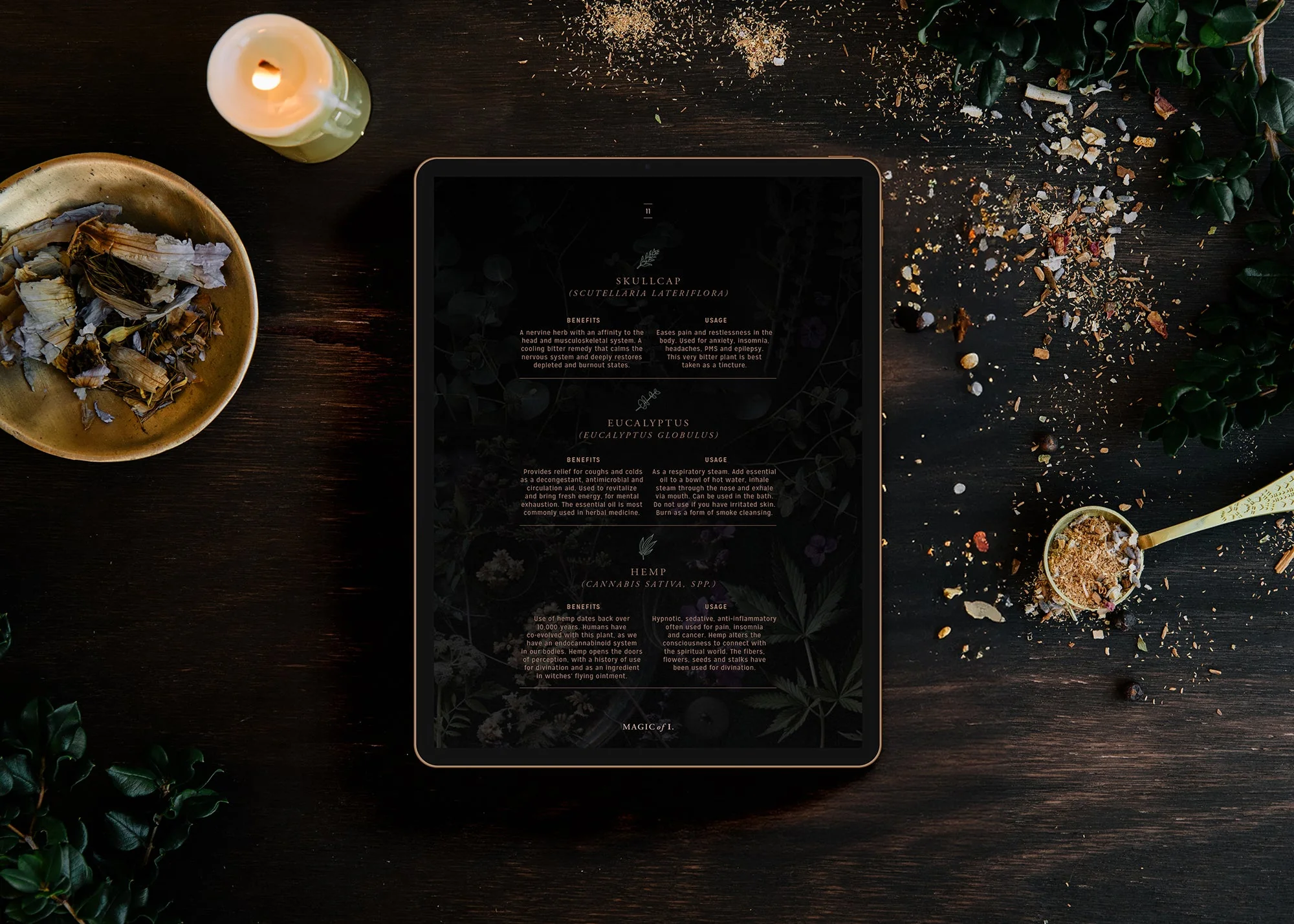 Plants + Planets: A Guide to Astro-herbalism - Image 4