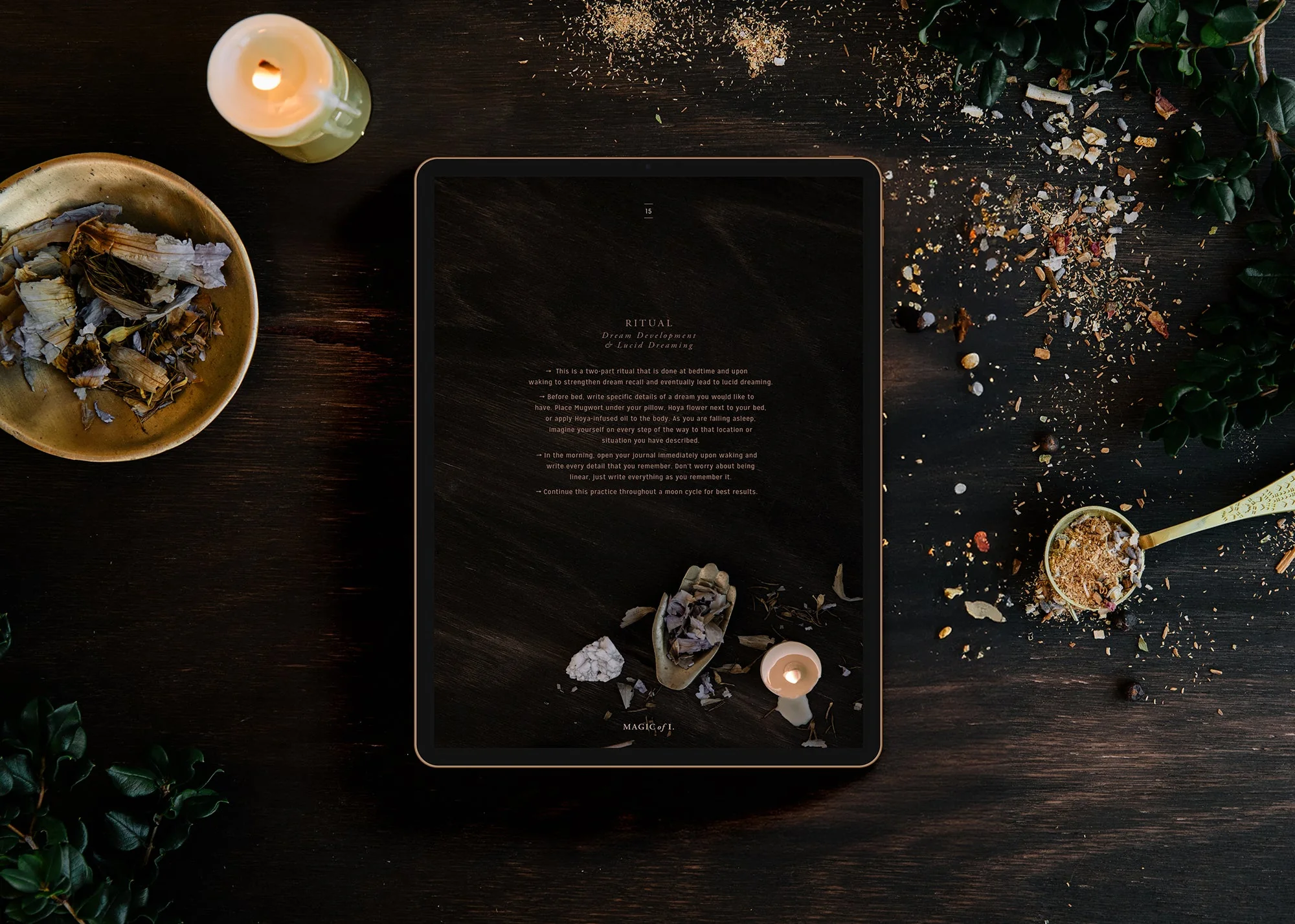 Plants + Planets: A Guide to Astro-herbalism - Image 5